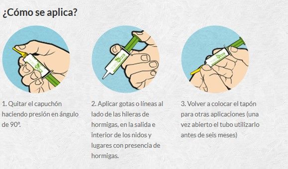 Ecogel hormigas jeringuilla 5gr