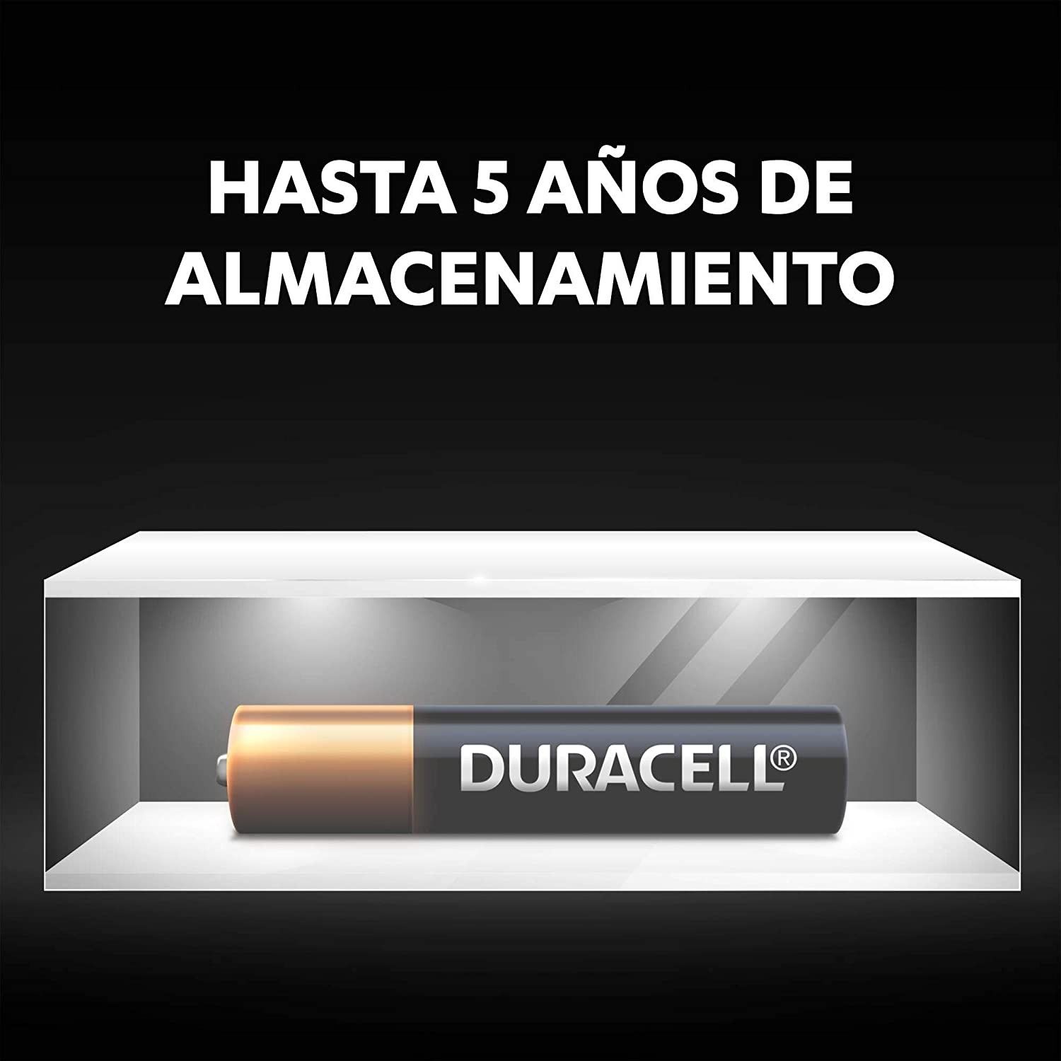 Blister 2 Pilas Duracell alcalinas AAAA de 1,5V