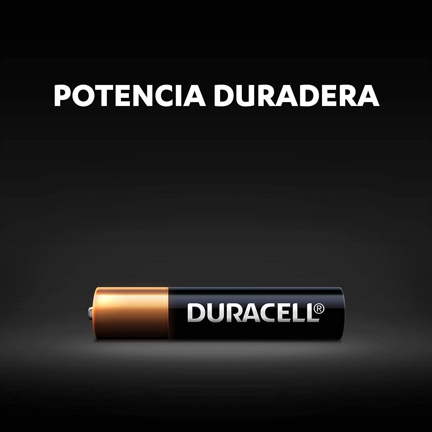 Blister 2 Pilas Duracell alcalinas AAAA de 1,5V